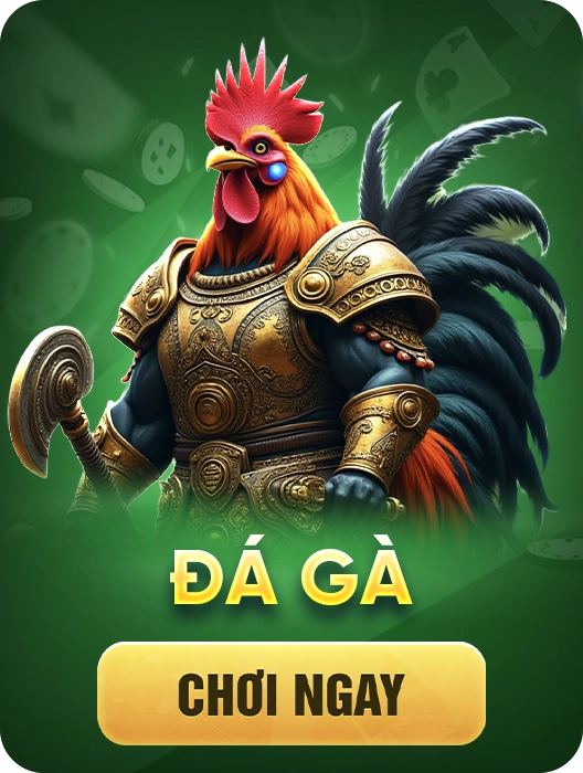 Đá gà febet